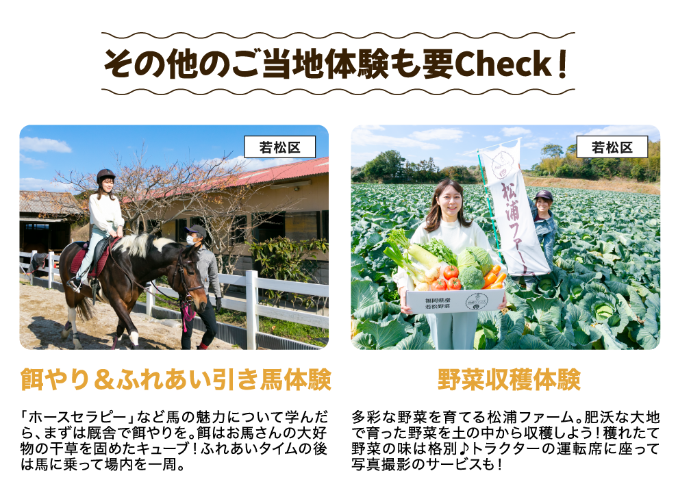 「ホースセラピー」など馬の魅力について学んだら、まずは厩舎で餌やりを。餌はお馬さんの大好物の干草を固めたキューブ！ふれあいタイムの後は馬に乗って場内を一周。多彩な野菜を育てる松浦ファーム。肥沃な大地で育った野菜を土の中から収穫しよう！穫れたて野菜の味は格別♪トラクターの運転席に座って写真撮影のサービスも！