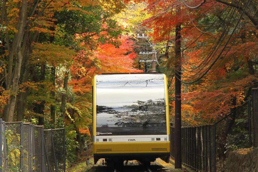 Mt. Sarakura