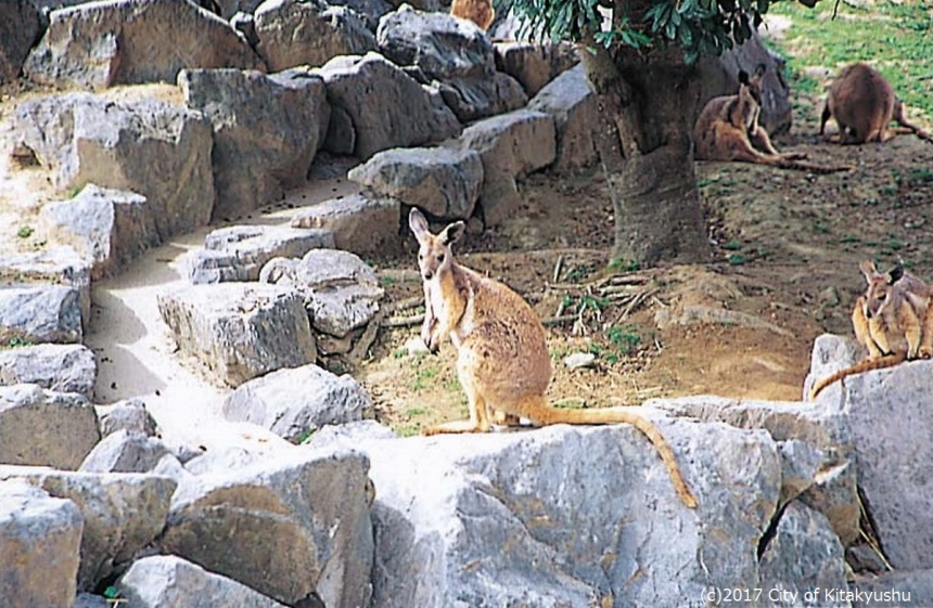 響灘緑地（グリーンパーク）・ひびき動物ワールド 北九州市観光情報サイト｜北九州の観光＆イベント情報はぐるリッチにおまかせ