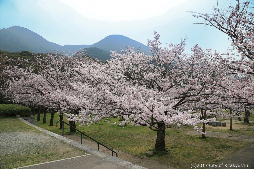 足立公園 北九州市観光情報サイト 北九州の観光 イベント情報はぐるリッチにおまかせ