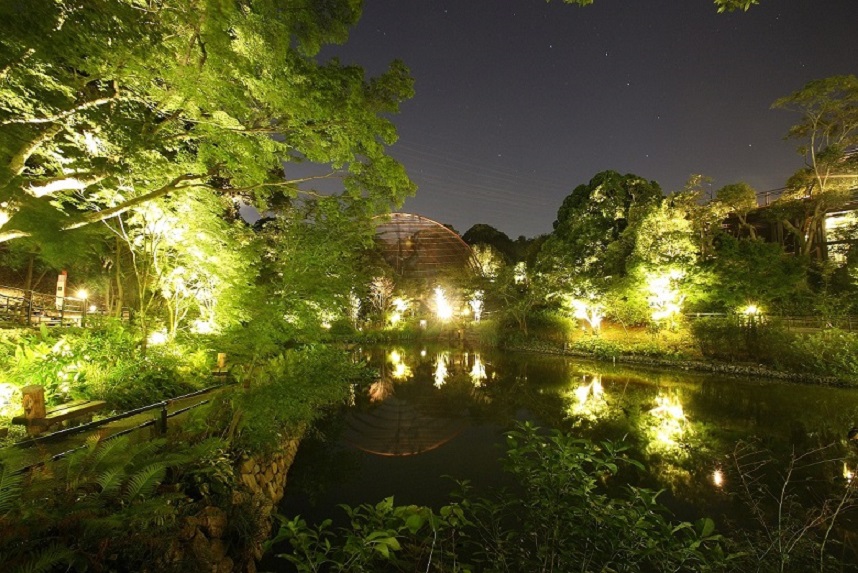 到 津 の 森 公園